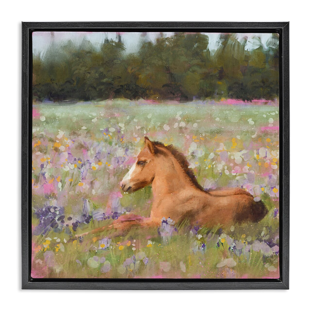 Stupell Industries Foal Horse Lounging Flower Meadow Framed Floater Canvas Wall Art
